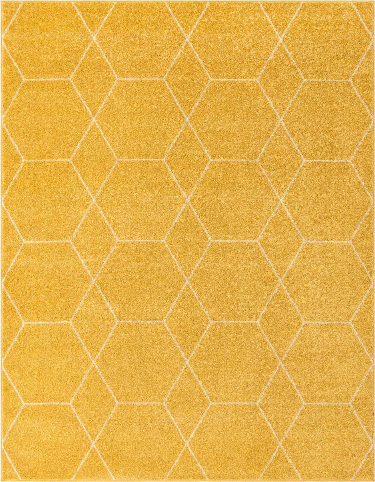6' x 9' Trellis Frieze Rug