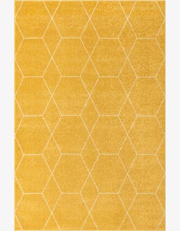 6' x 9' Trellis Frieze Rug