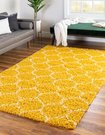 2' x 3' Trellis Shag Rug