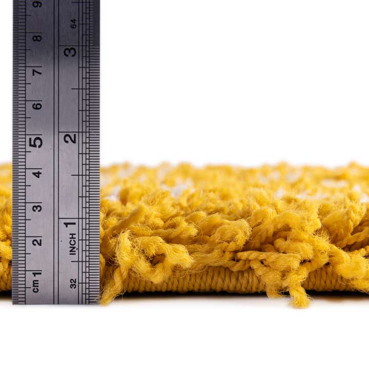 2' x 3' Trellis Shag Rug