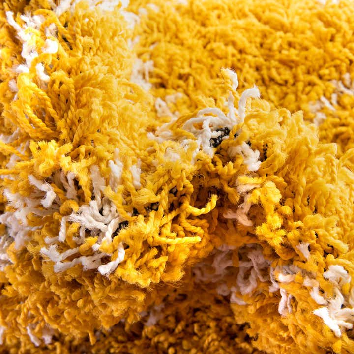 2' x 3' Trellis Shag Rug