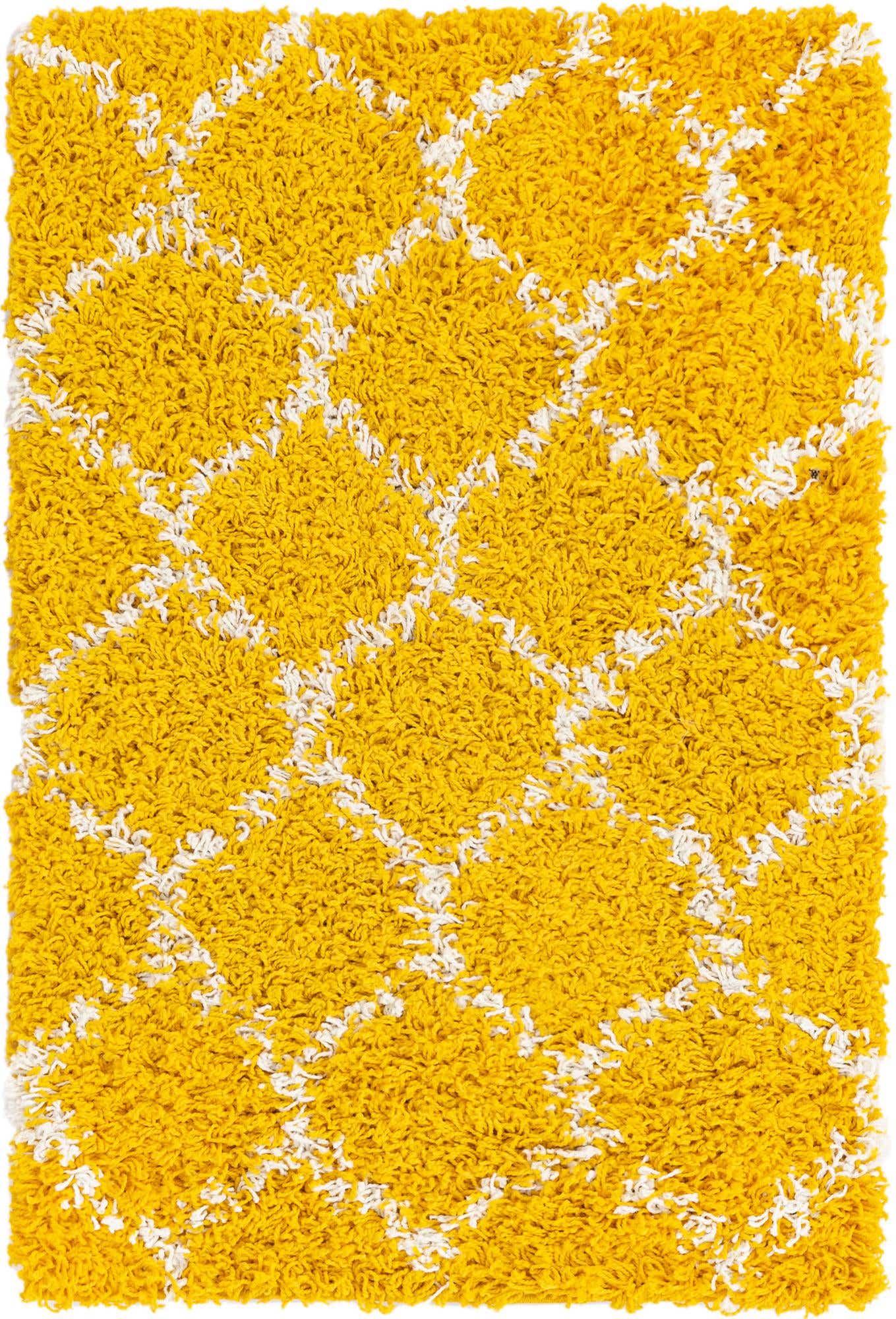 2' x 3' Trellis Shag Rug