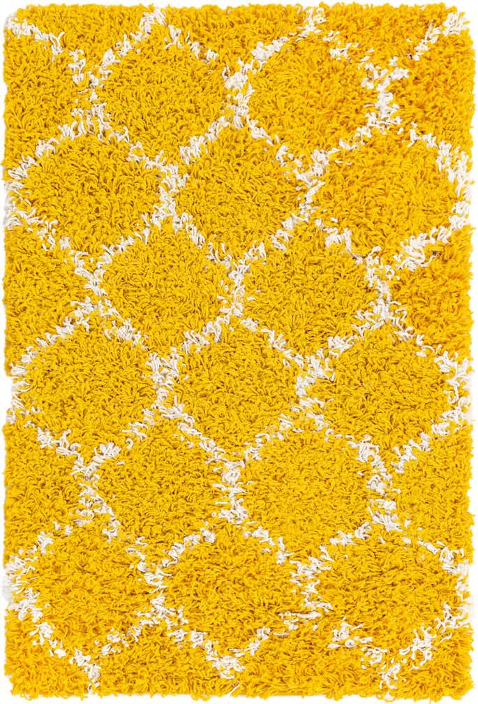 2' x 3' Trellis Shag Rug