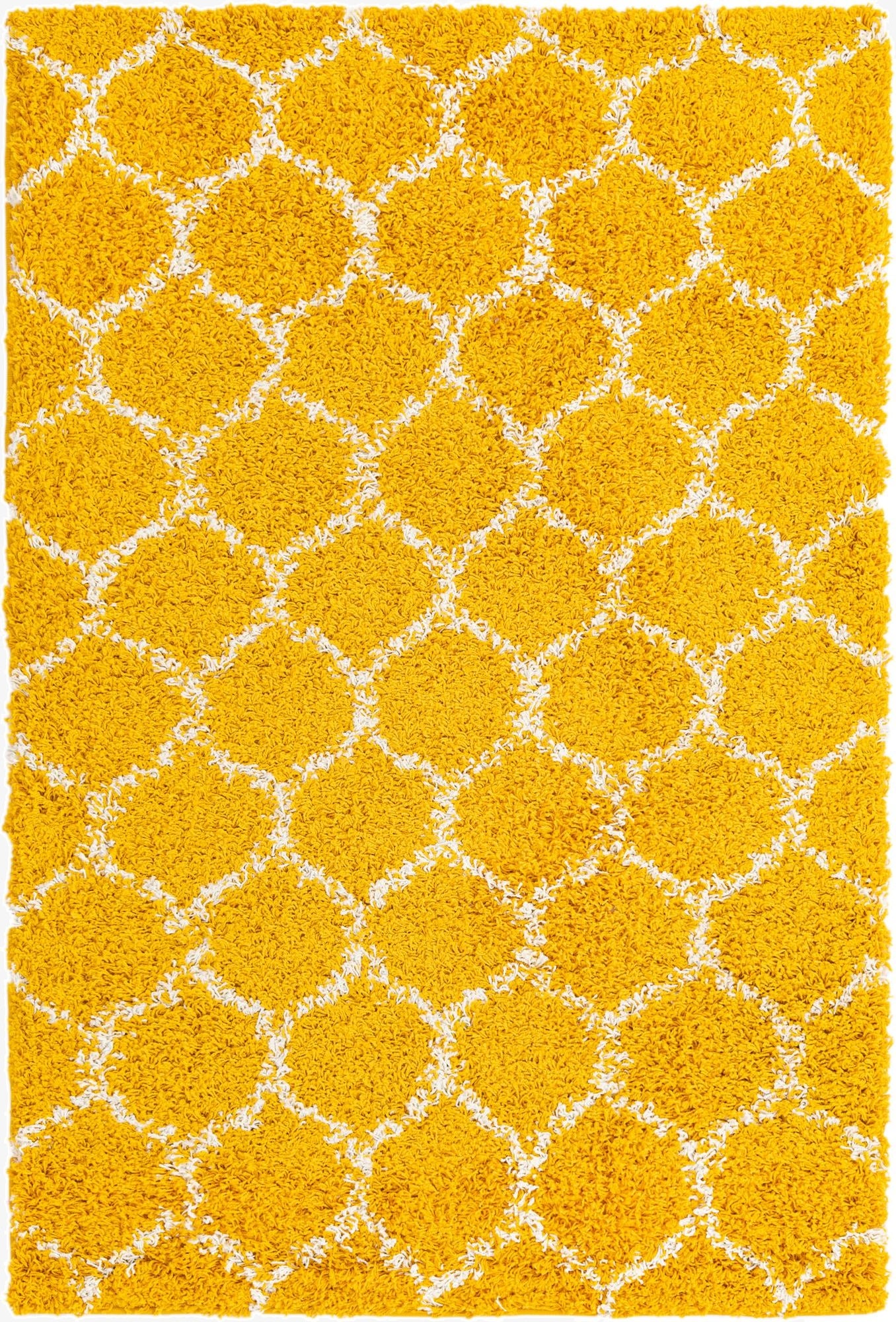 4' x 6' Trellis Shag Rug
