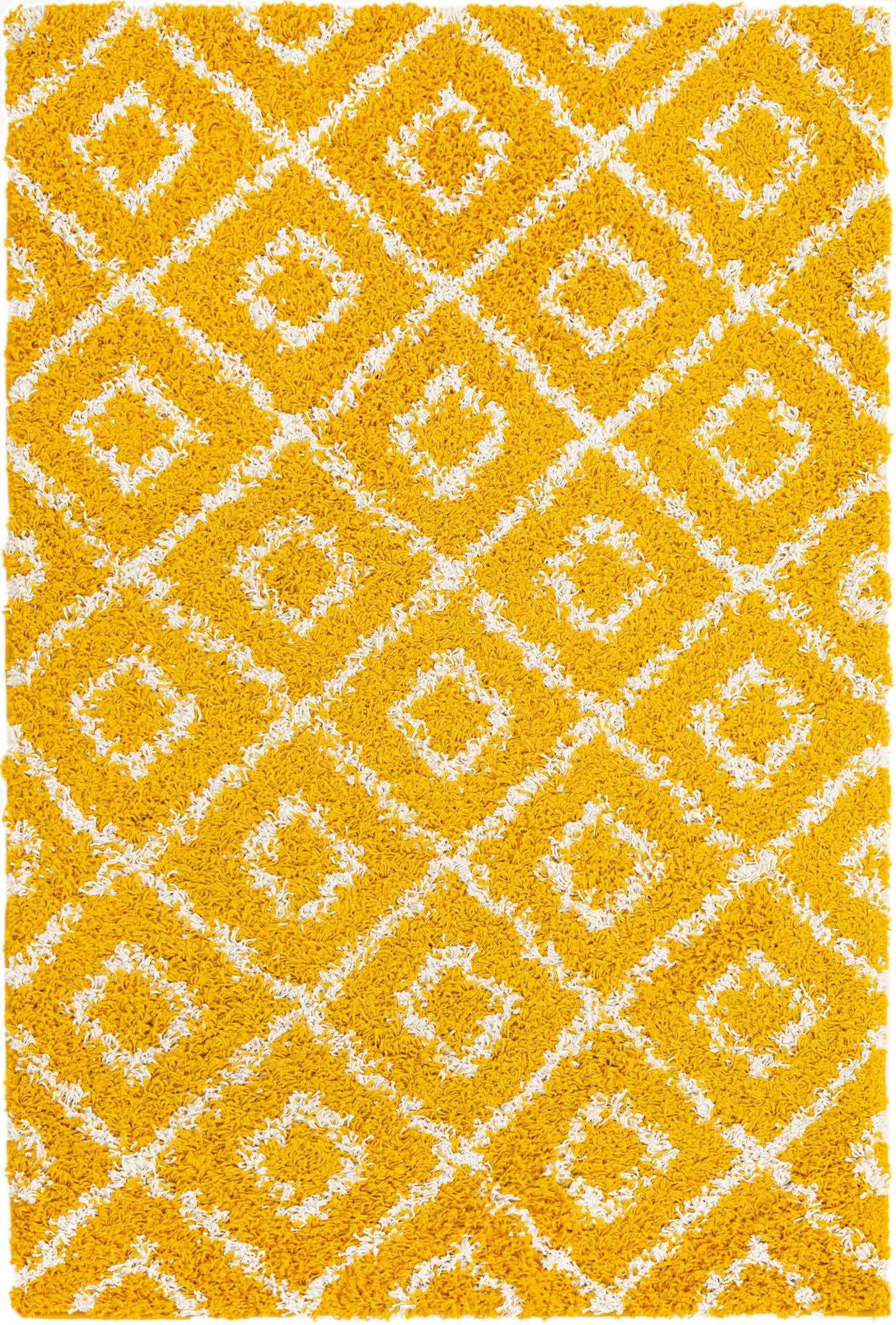 4' x 6' Trellis Shag Rug