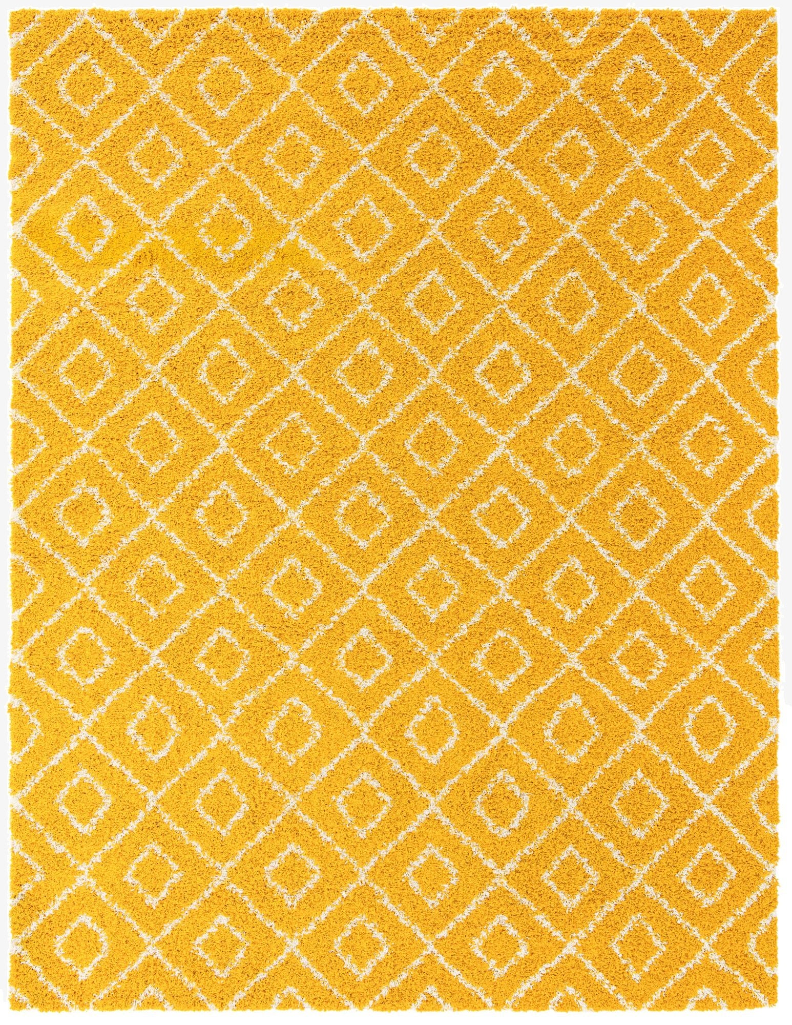 10' x 13' Trellis Shag Rug