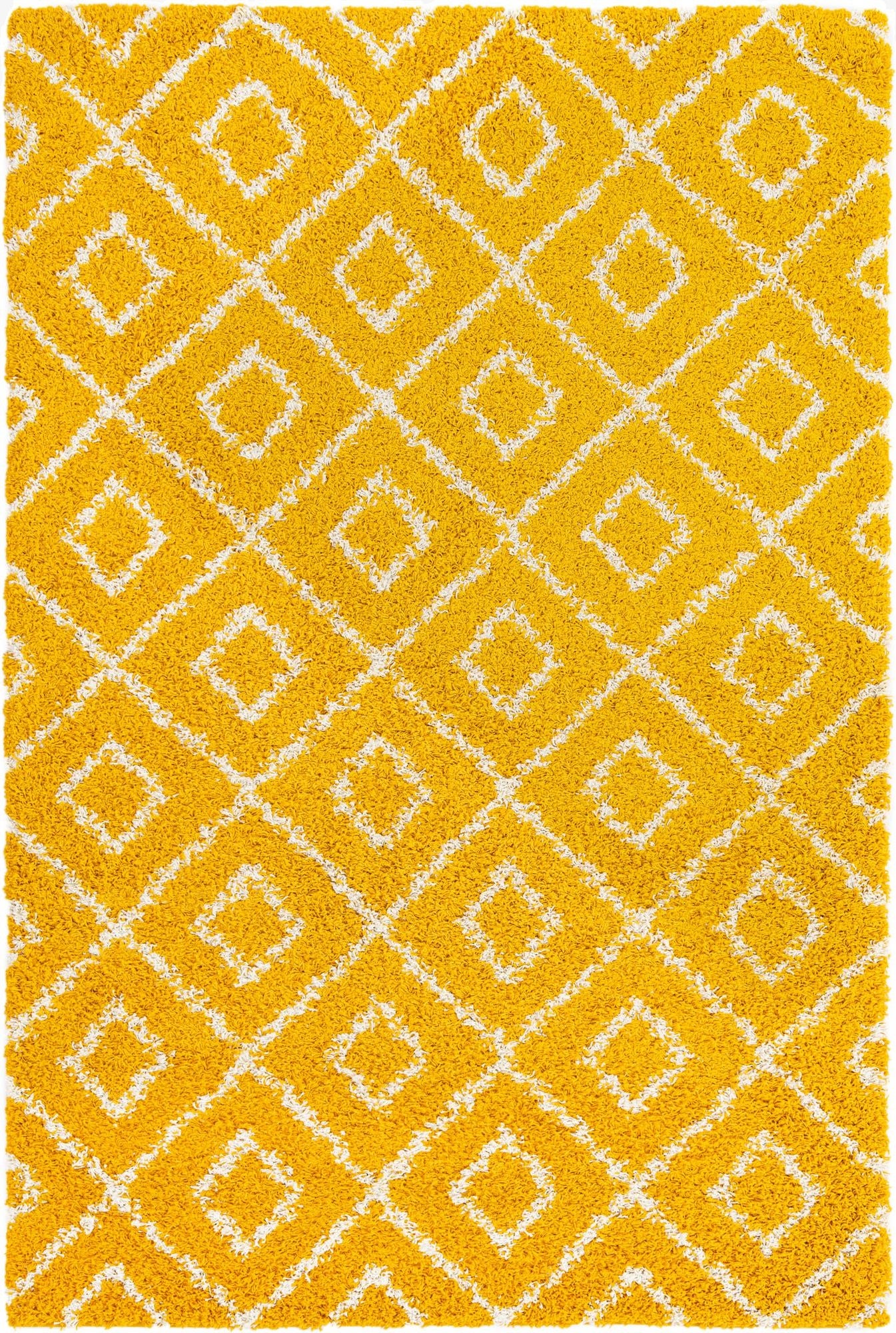 6' x 9' Trellis Shag Rug