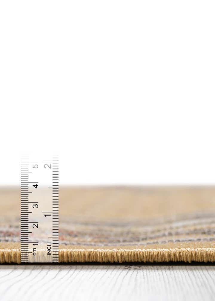 5' 3 x 5' 3 SoHo Round Rug