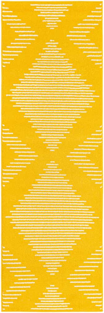 2' x 8' Kai Runner Rug