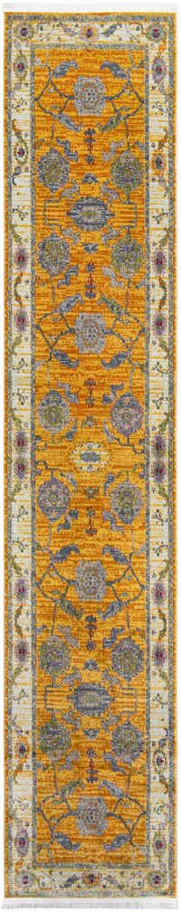 2' 7 x 13' Paragon Runner Rug