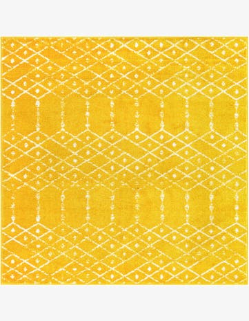 5' 3 x 5' 3 Paxon Trellis Square Rug