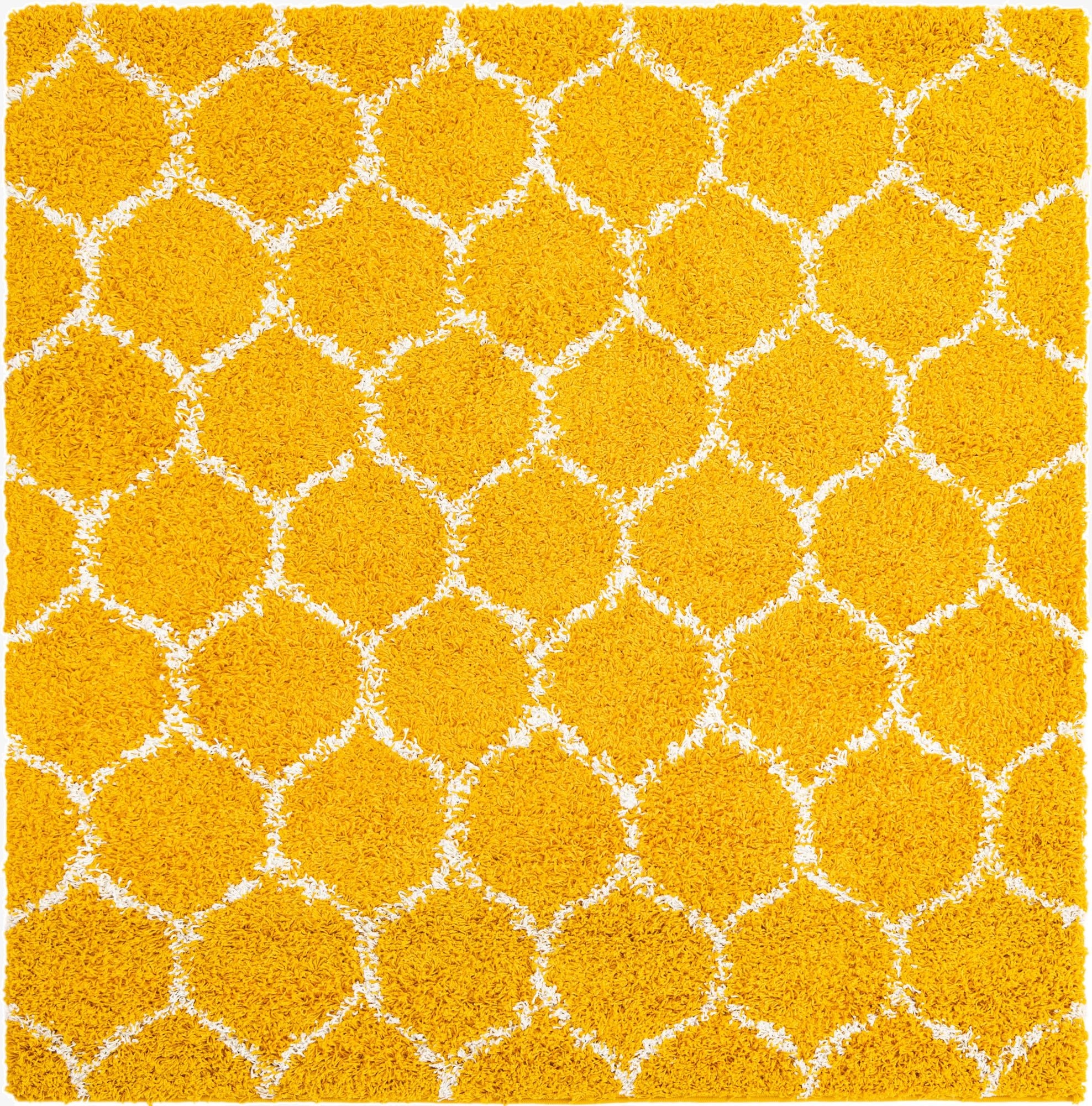 Primary image 3' 3 x 3' 3 Trellis Shag Square Rug