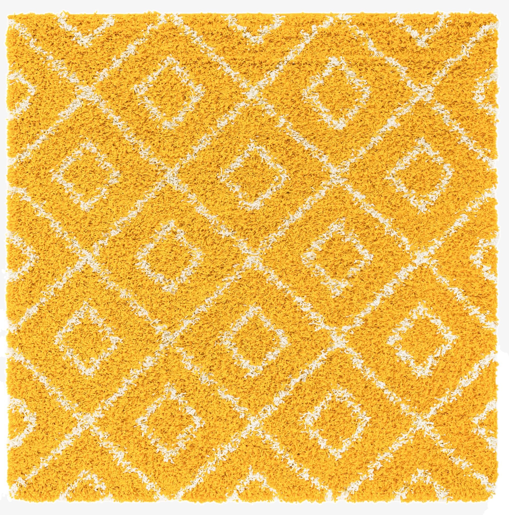 Primary image 5' 3 x 5' 3 Trellis Shag Square Rug