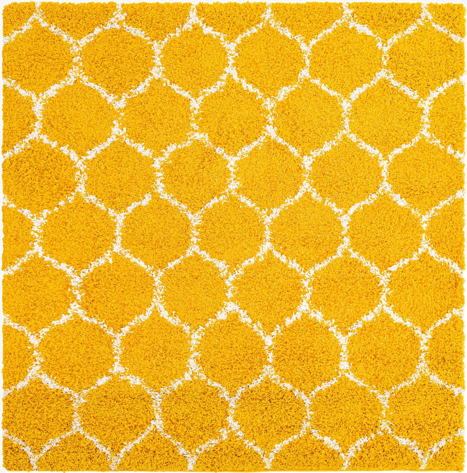 4' x 4' Trellis Shag Square Rug
