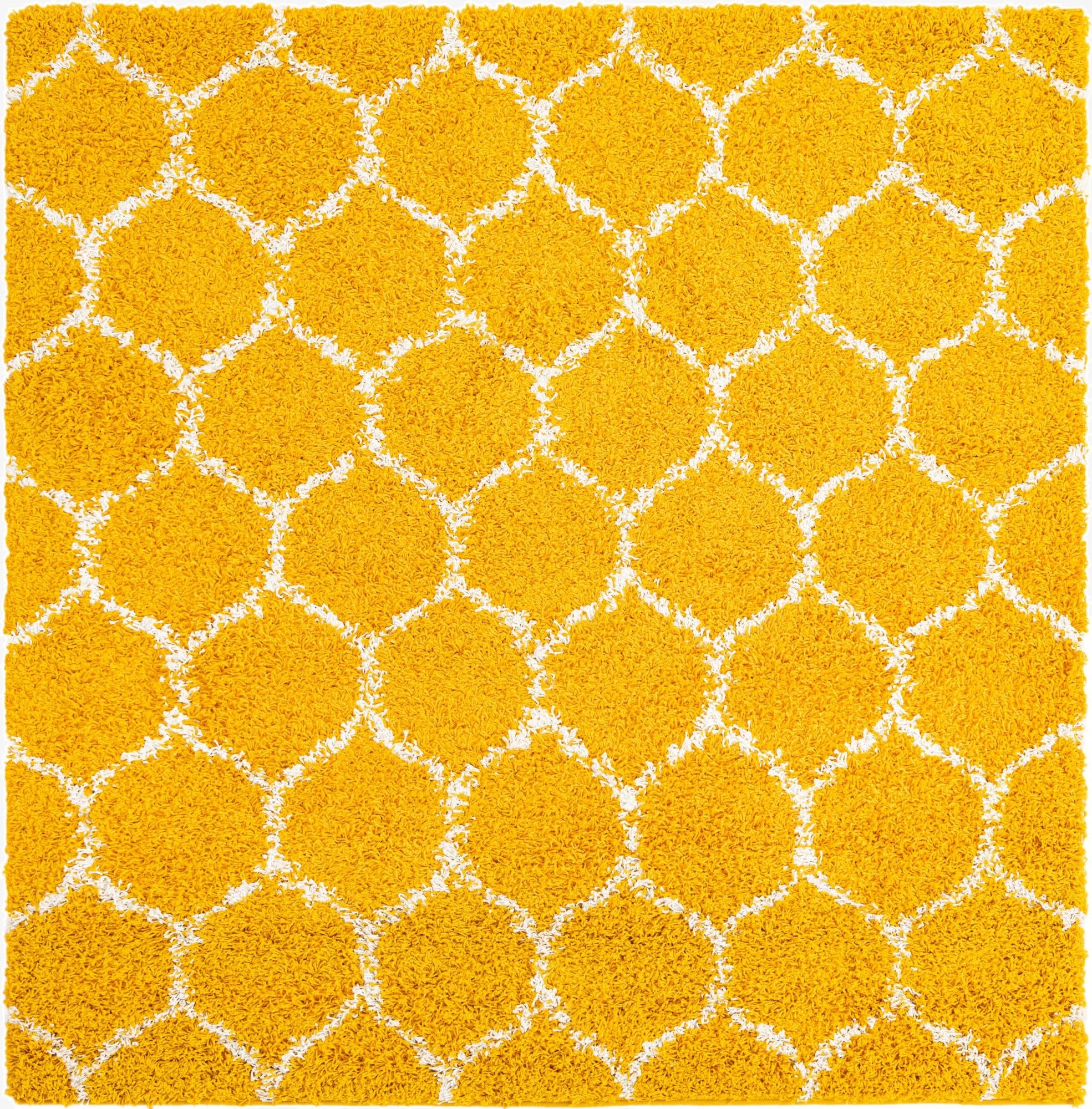 Primary image 5' 3 x 5' 3 Trellis Shag Square Rug
